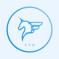 飞马vpn官网